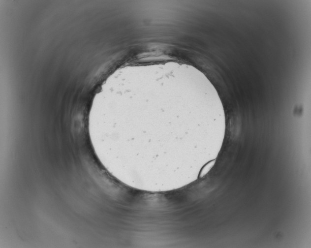 X0000112050424200909151007