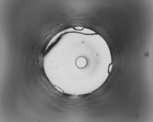 X0000112050425200909151007