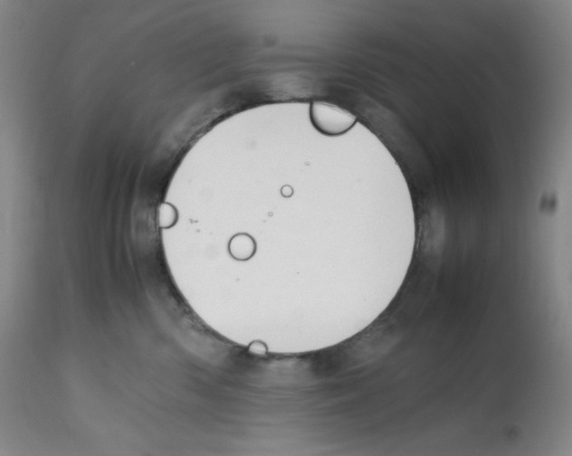 X0000112050426200909151007