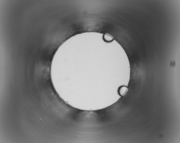X0000112050427200909151007