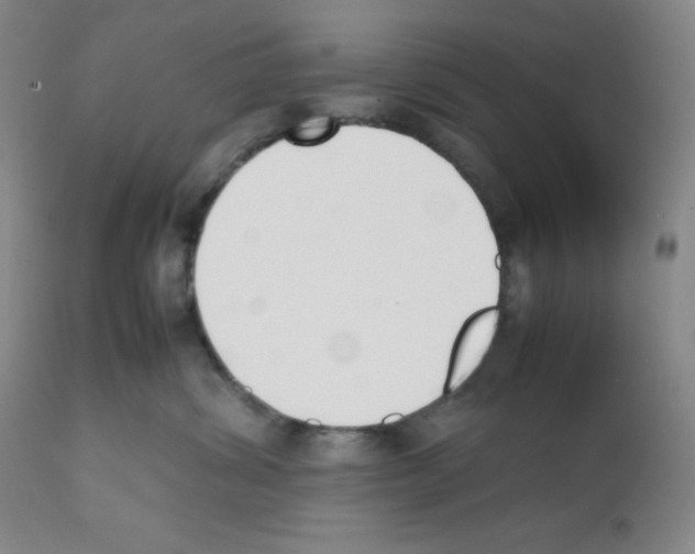 X0000112050428200909151007