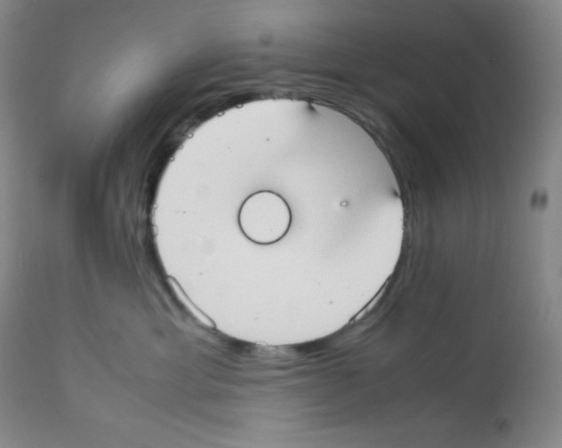 X0000112050429200909151007