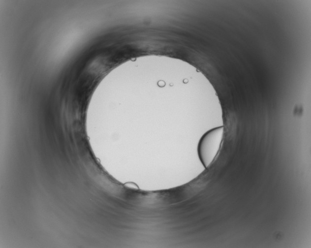 X0000112050430200909151007