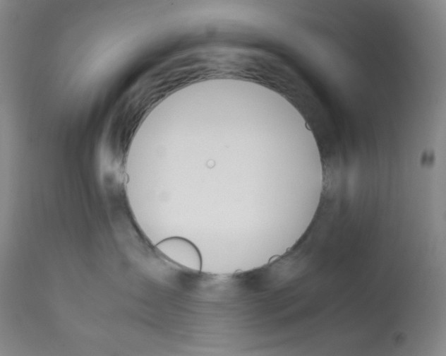 X0000112050431200909151007