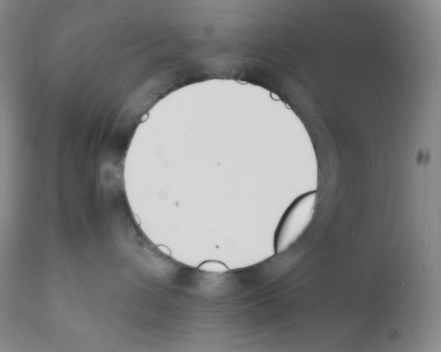 X0000112050432200909151007