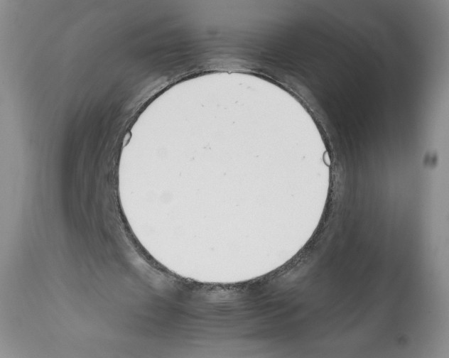 X0000112050433200909151006