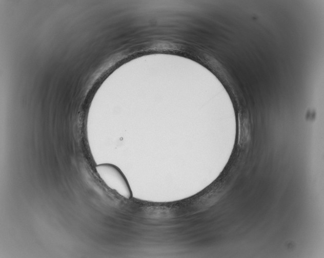 X0000112050435200909151006