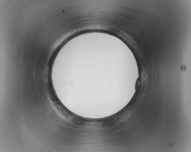 X0000112050436200909151006
