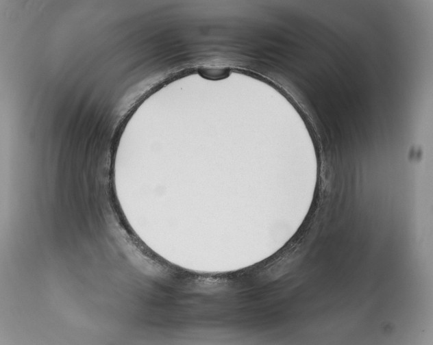 X0000112050437200909151006
