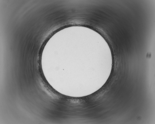X0000112050439200909151006