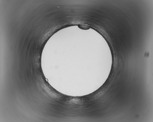 X0000112050441200909151006