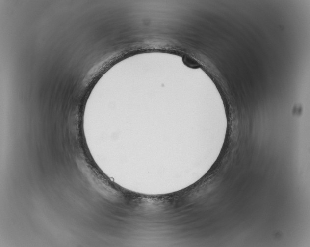 X0000112050442200909151006