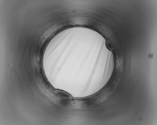 X0000112050444200909151006