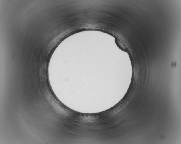 X0000112050445200909151006