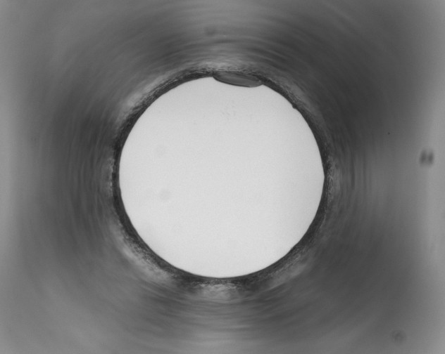 X0000112050446200909151006