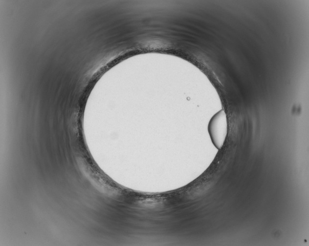 X0000112050447200909151006