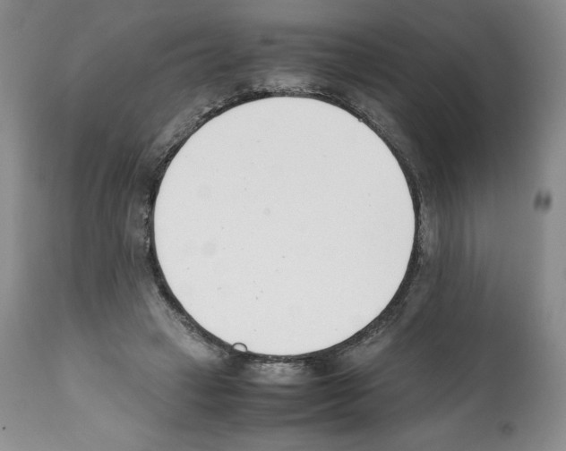 X0000112050449200909151006