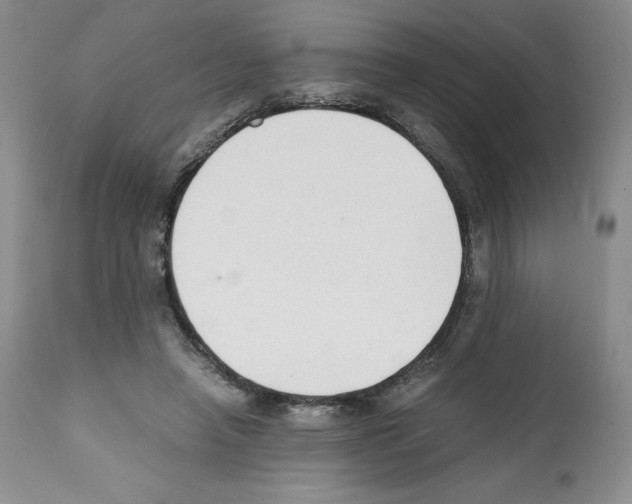 X0000112050450200909151006