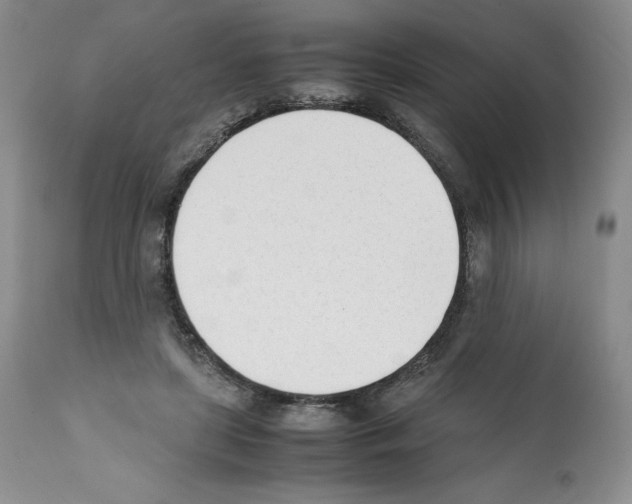 X0000112050451200909151006
