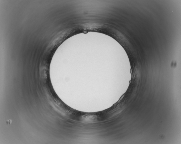 X0000112050452200909151006