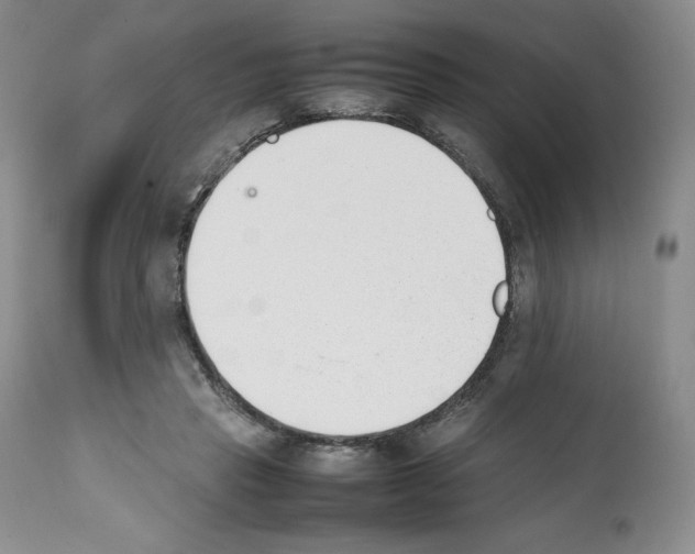X0000112050453200909151006