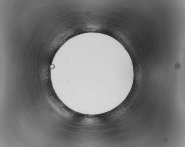 X0000112050455200909151006