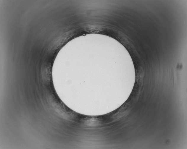 X0000112050460200909151007