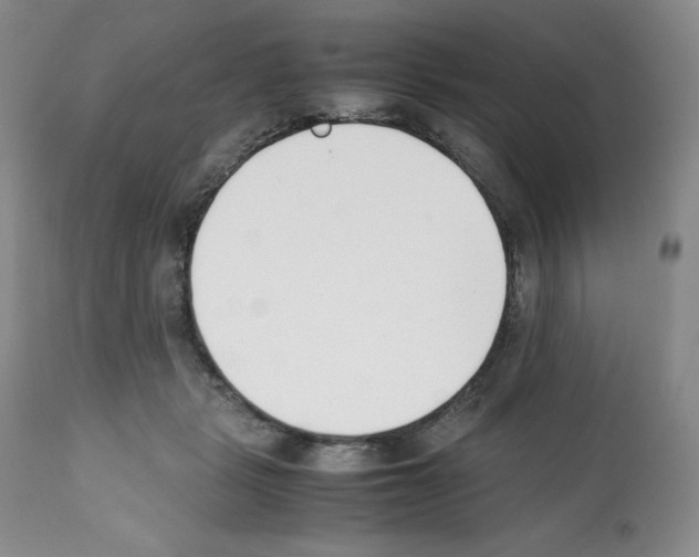 X0000112050461200909151007