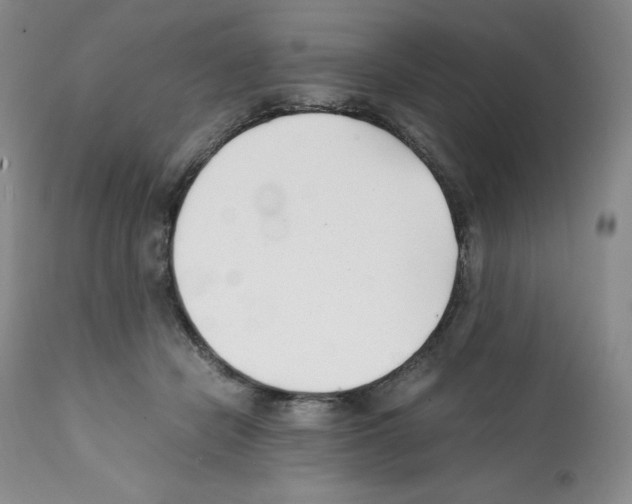 X0000112050462200909151007