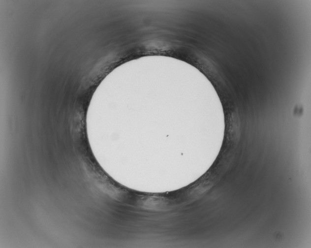 X0000112050463200909151007