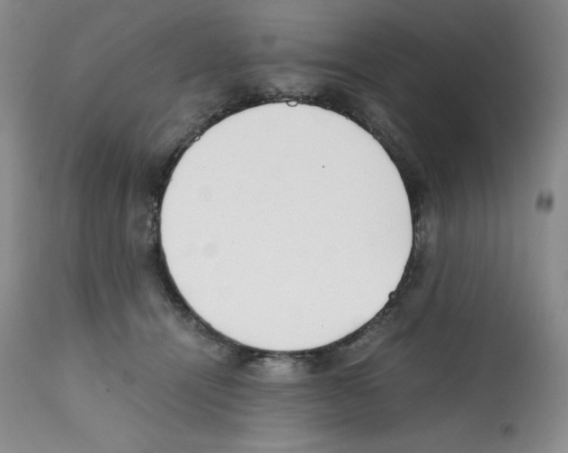 X0000112050464200909151007