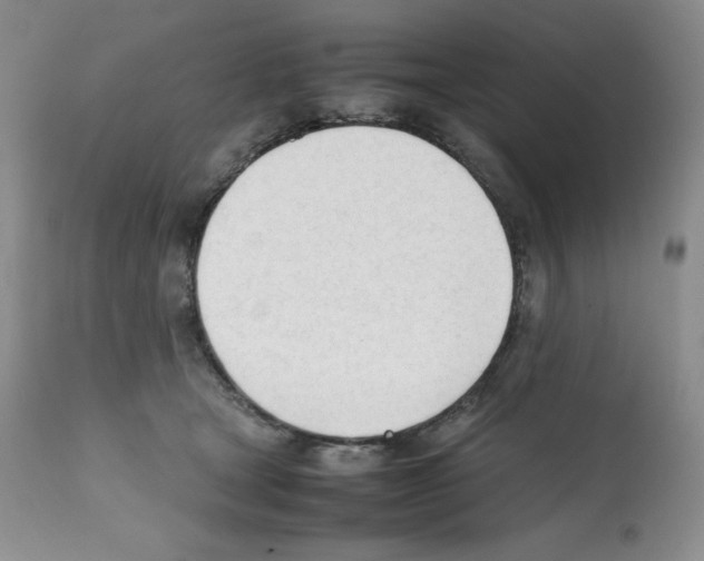 X0000112050465200909151007