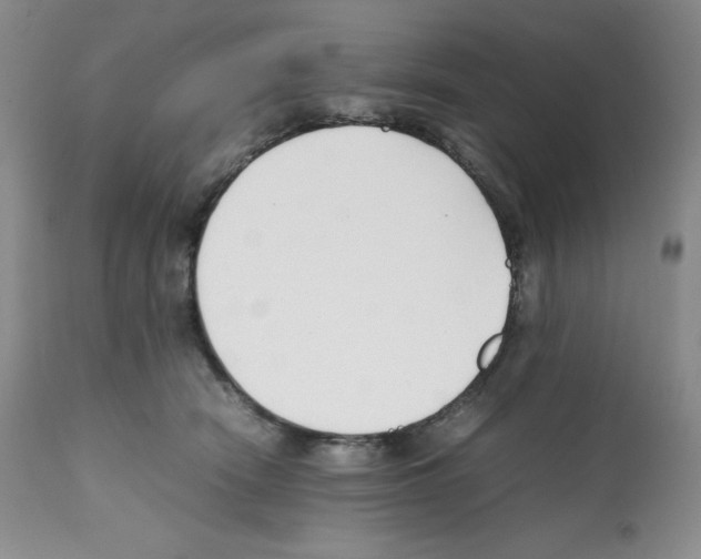 X0000112050466200909151007