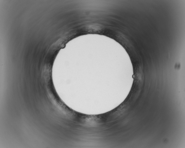 X0000112050468200909151007