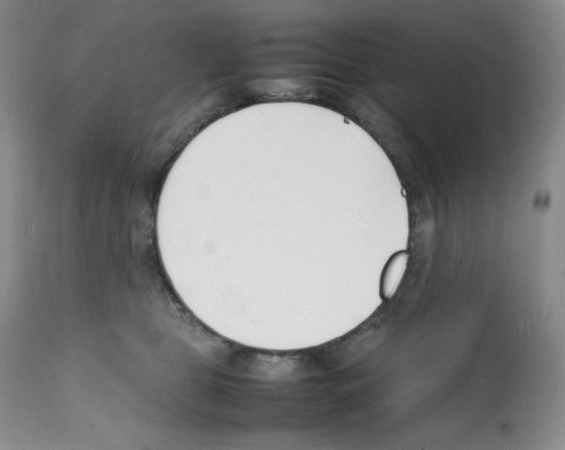 X0000112050469200909151007