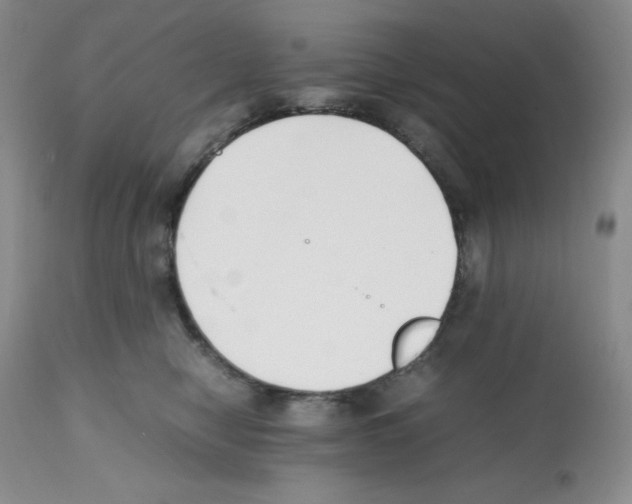 X0000112050470200909151007