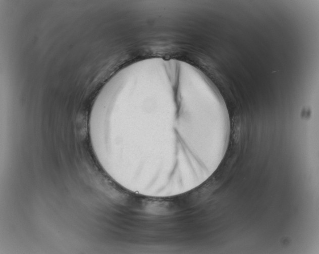 X0000112050471200909151007