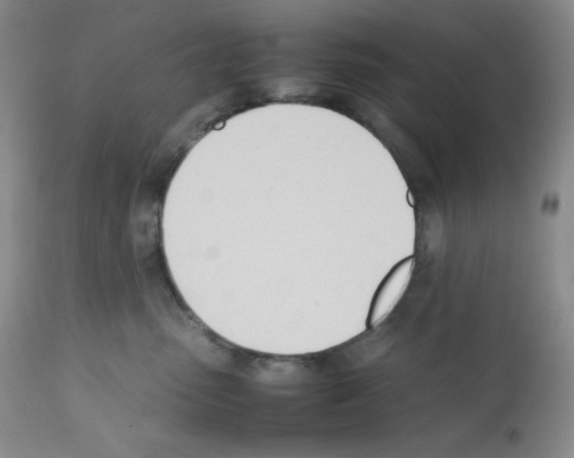 X0000112050475200909151007