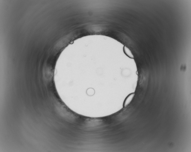 X0000112050476200909151007
