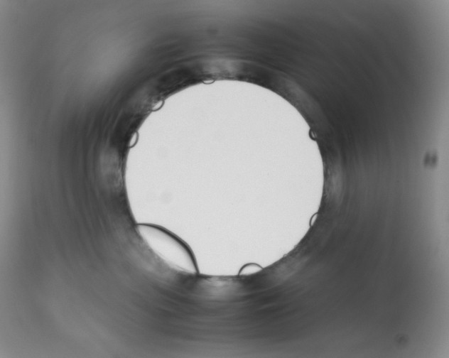 X0000112050477200909151007