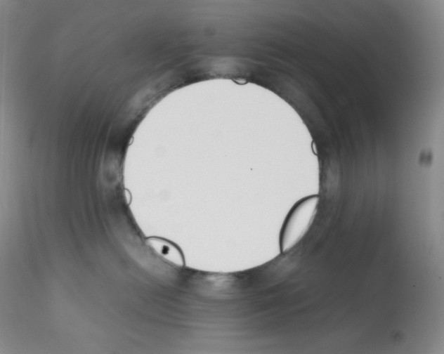 X0000112050478200909151007