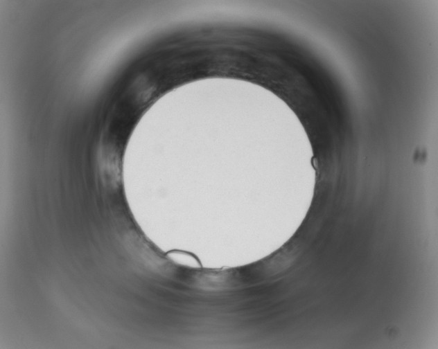 X0000112050479200909151007