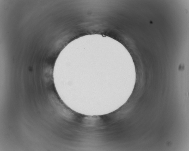 X0000112050480200909151007