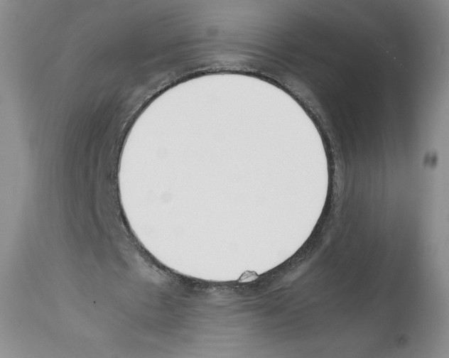 X0000112050481200909151006