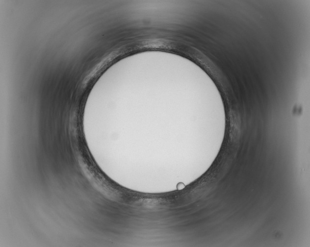 X0000112050482200909151006