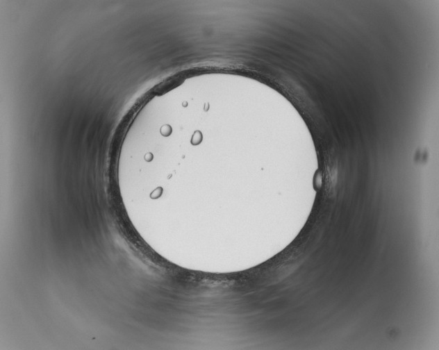 X0000112050484200909151006
