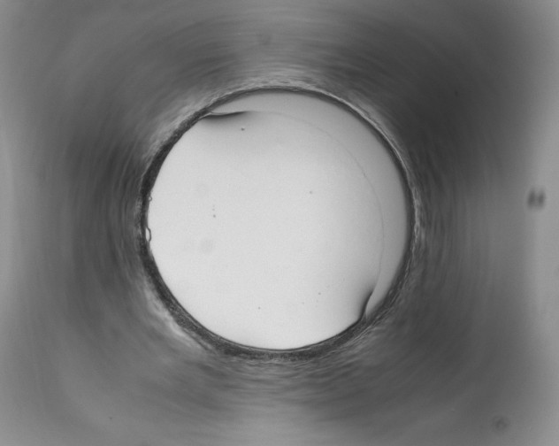 X0000112050485200909151006