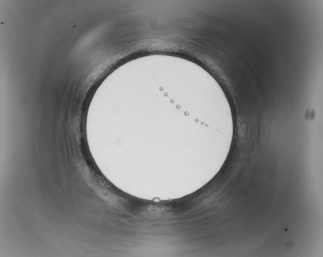 X0000112050487200909151006