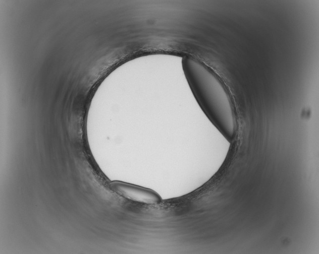 X0000112050489200909151006