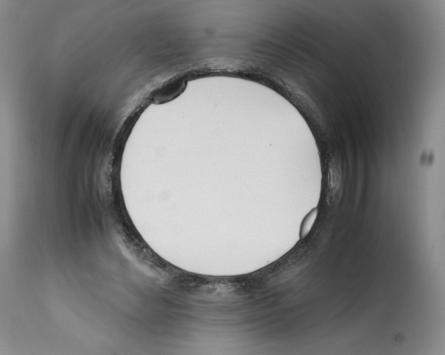 X0000112050492200909151006